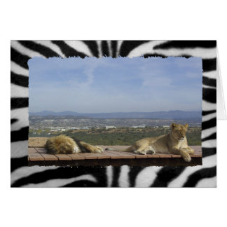 Lazy Lejon produkt Hälsningskort
