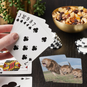 Lazy Lejona bröder om Savannah Casinokort