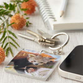 Lazy lille röd panda