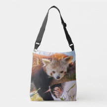 Lazy lille röd panda