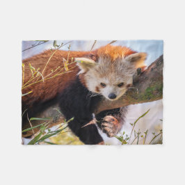 Lazy lille röd panda fleecefilt