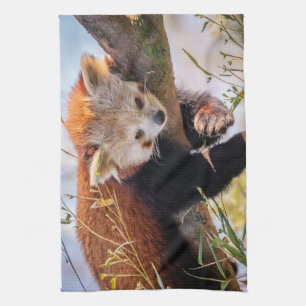 Lazy lille röd panda kökshandduk