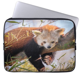 Lazy lille röd panda laptop fodral