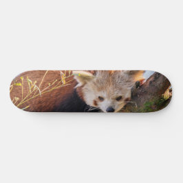 Lazy lille röd panda mini skateboard bräda 18,5 cm
