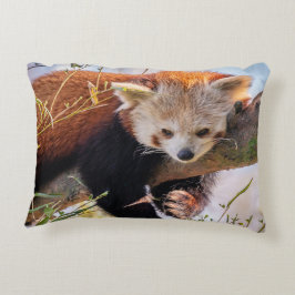 Lazy lille röd panda prydnadskudde