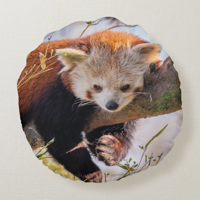 Lazy lille röd panda rund kudde (Baksidan)