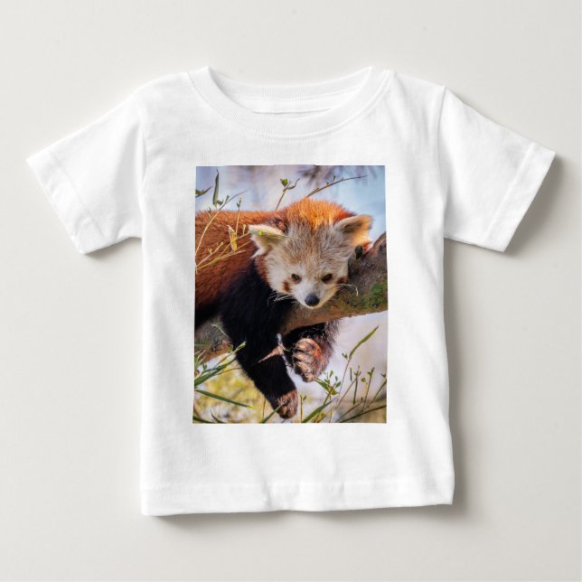 Lazy lille röd panda t shirt (Framsida)