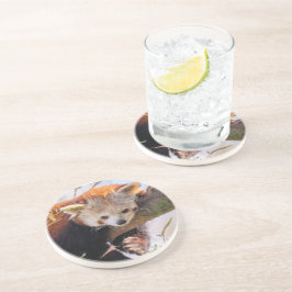 Lazy lille röd panda underlägg