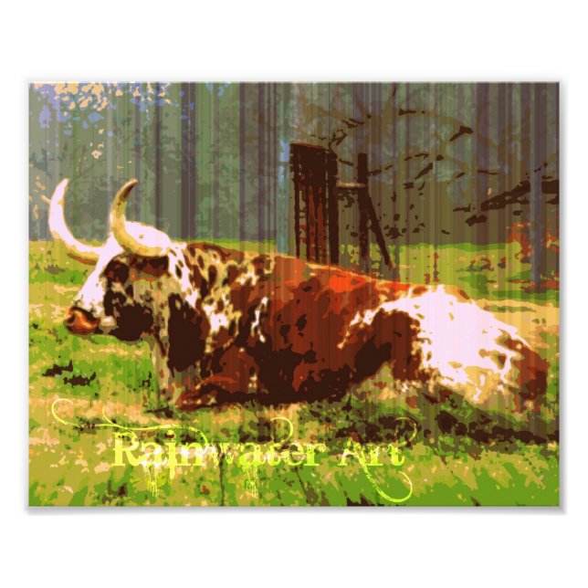 Lazy Longhorn Fototryck (Framsidan)