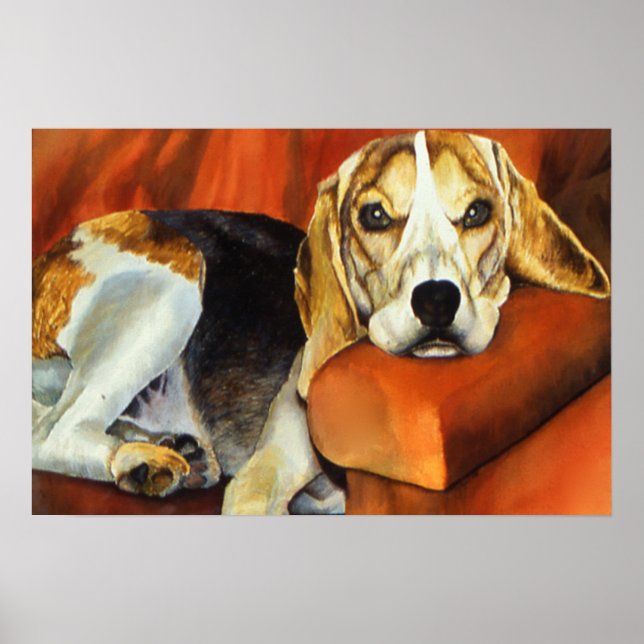 Lazy Lucy Poster (Framsidan)