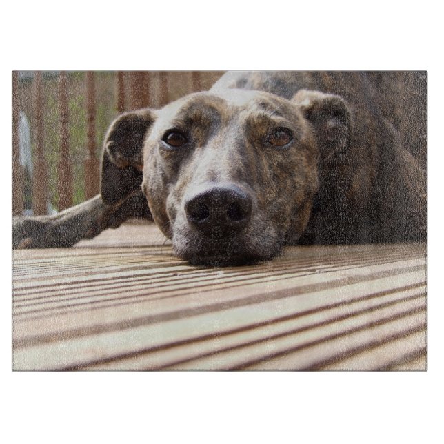 Lazy Lurcher (Framsidan)