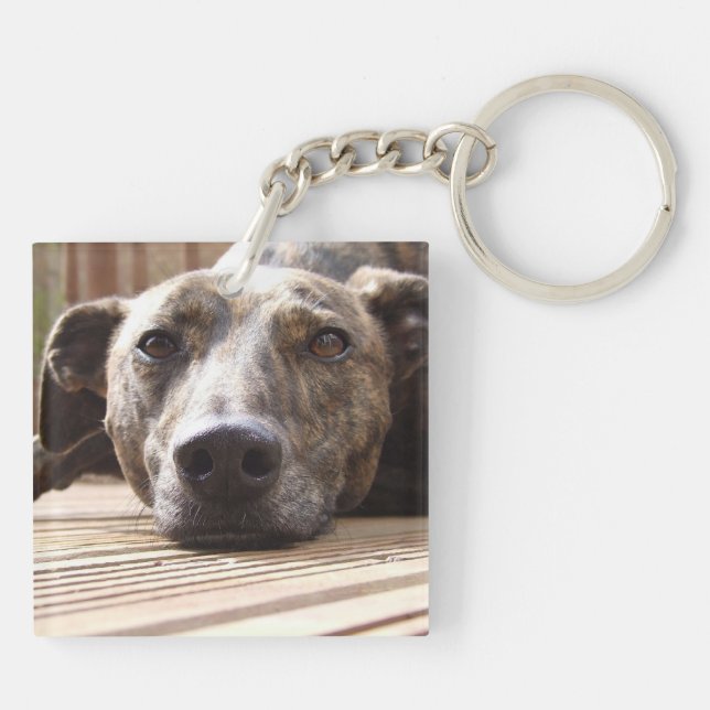 Lazy Lurcher (Baksidan)