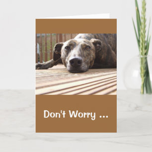 Lazy Lurcher Hälsning Card Kort