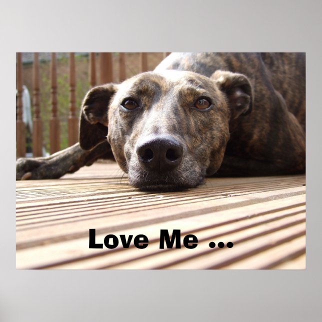 Lazy Lurcher Poster (Framsidan)