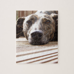 Lazy Lurcher Pussel