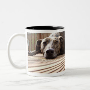 Lazy Lurcher Två-Tonad Mugg