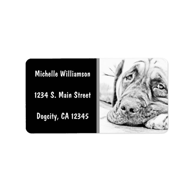 Lazy Mastiff Adressetikett (Framsidan)