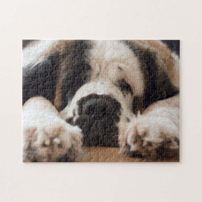 Lazy Saint Bernard hund Pussel (Horisontell)