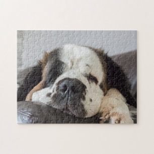 Lazy Saint Bernard hund Pussel