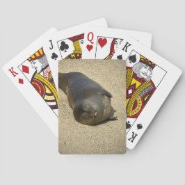 Lazy Seal Casinokort
