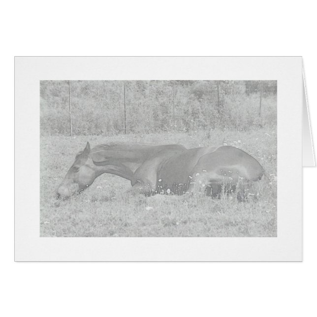 Lazy sommardagar hälsningskort (Framsidan Horizontal)