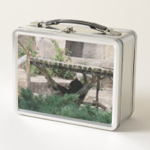 Lazy-sommardagsbjörn i Hammock