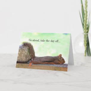 Lazy Squirrel Kort