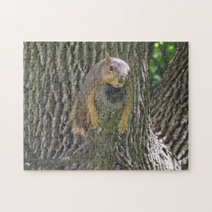 Lazy Squirrel Lutande på Träd Gren Pussel