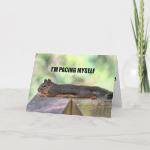 Lazy Squirrel Photo Kort