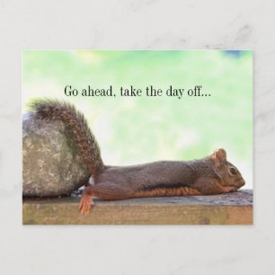 Lazy Squirrel Vykort