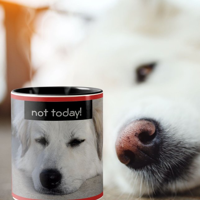 Lazy Underbar Pyrenéerna Hund Inte i dag Red Black Två-Tonad Mugg (Your favorite friend on your coffee mug)