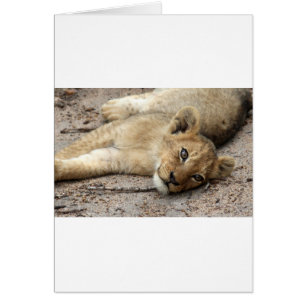 Lazylion unge hälsningskort