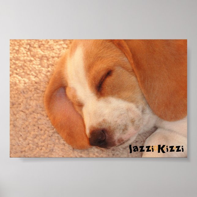 lazzi Kizzi Poster (Framsidan)
