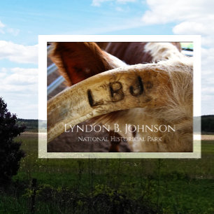 LBJ Horn Brand, Lyndon B. Johnson NHP Vykort