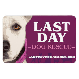 LDDR 4-tums x 6-tums magnet i logotyp