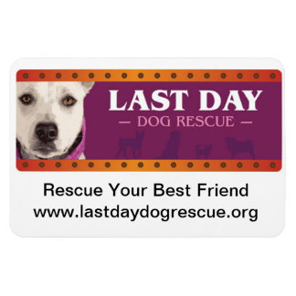 LDDR-bildomän Magnet