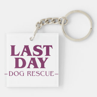 LDDR-logotypkeychain