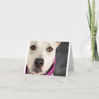 LDDR noterar kortet Kort