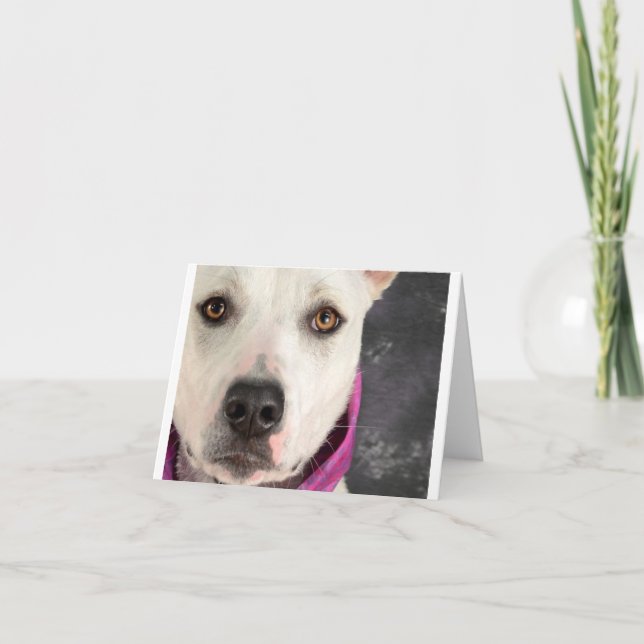 LDDR noterar kortet Kort (Framsida)