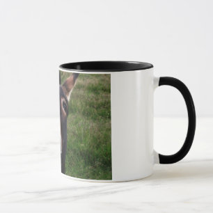 Le åsnamuggen mugg