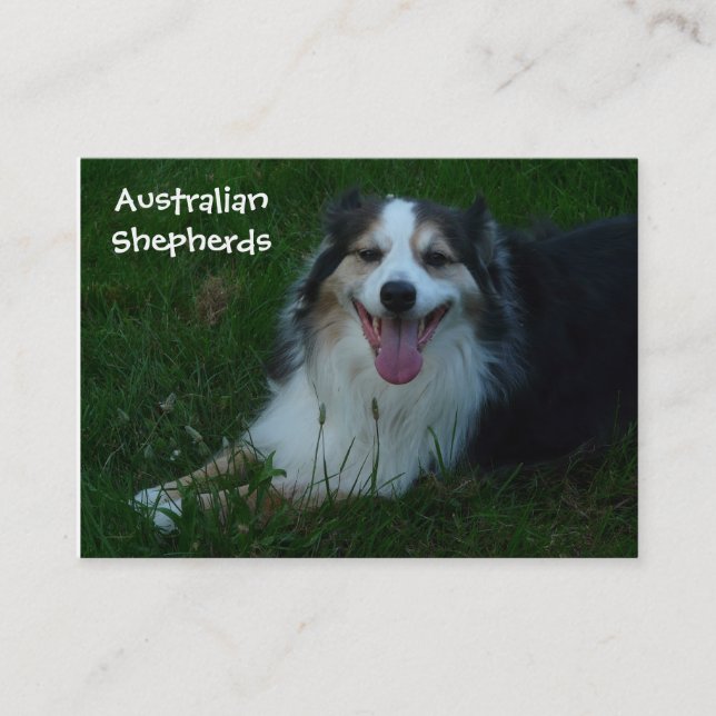Le australian shepherdvisitkorten visitkort (Framsida)