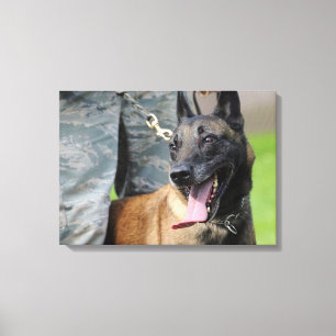 Le belgaren Malinois Canvastryck