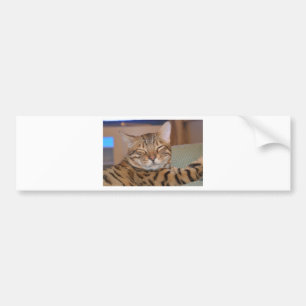 Le Bengal Bildekal