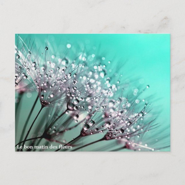 Le bon matin des fleurs meddelande vykort (Framsida)
