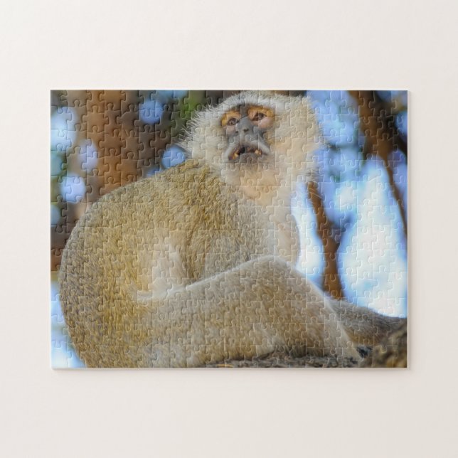 Le. Botswana Velvet Monkey. Pussel (Horisontell)