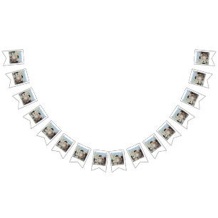 Le Cat du Cafe Vimplar