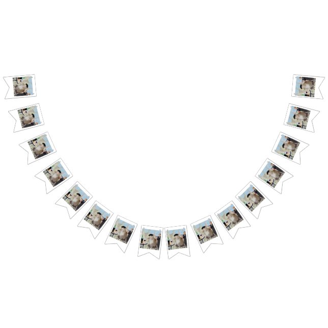 Le Cat du Cafe Vimplar (Alla)