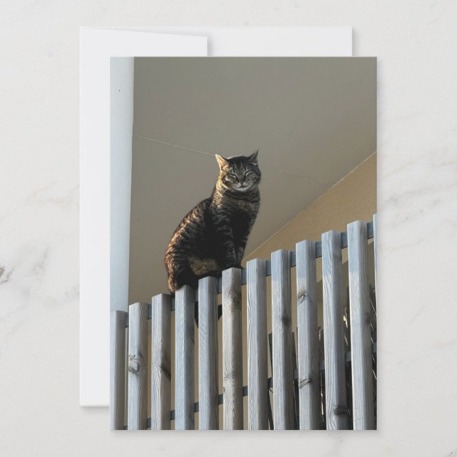 Le Chat  (Framsida)
