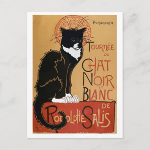 Le Chatta Noir et Blanc Vykort
