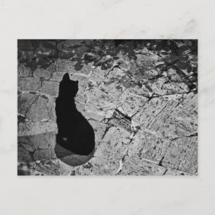 Le Chatta Noir Vykort